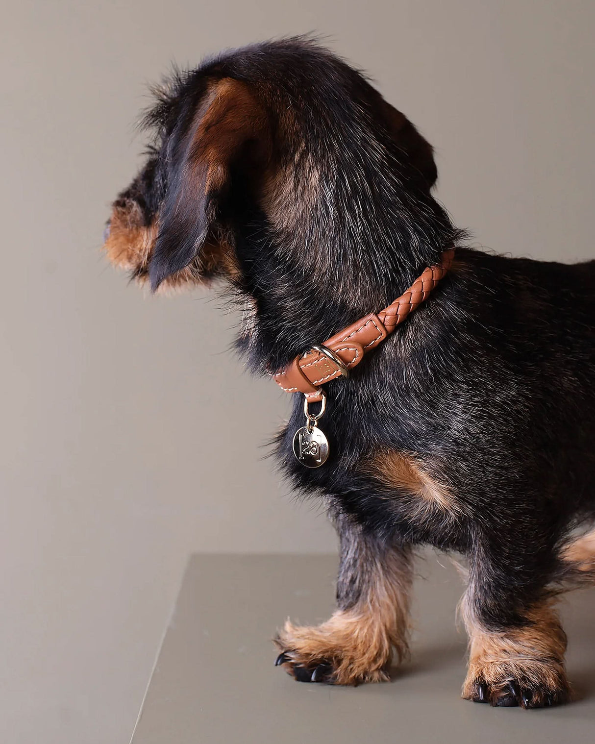 FERDINANDO NAPPA LEATHER COLLAR | קולר עור נאפה לכלב