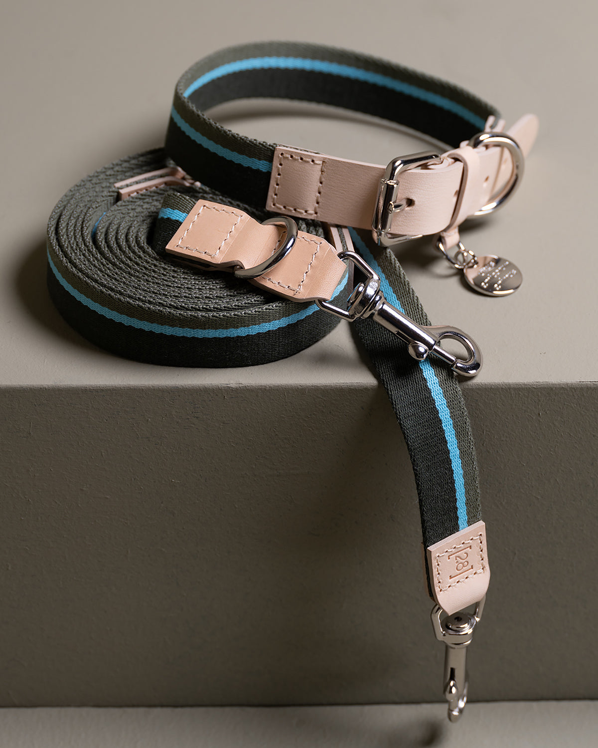 FRANCO RIBBON DOG COLLAR | קולר לכלב