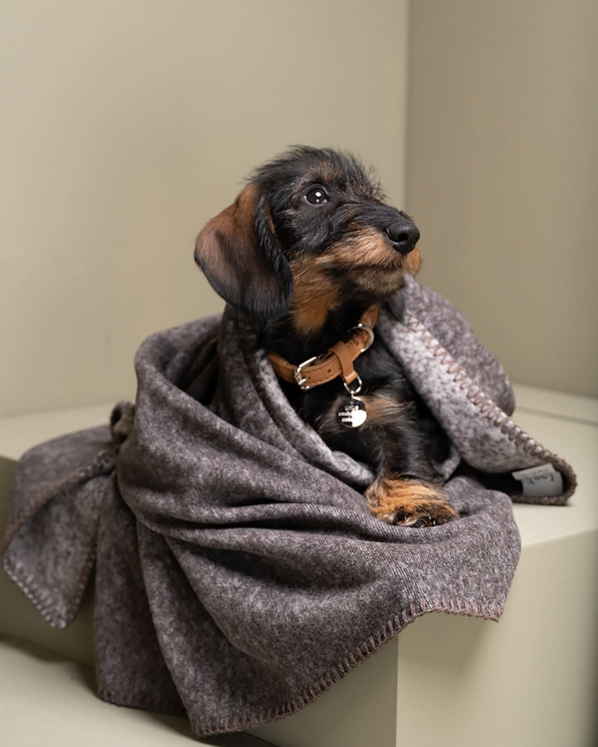 Yuki Dog Blanket | שמיכת במבוק לכלב