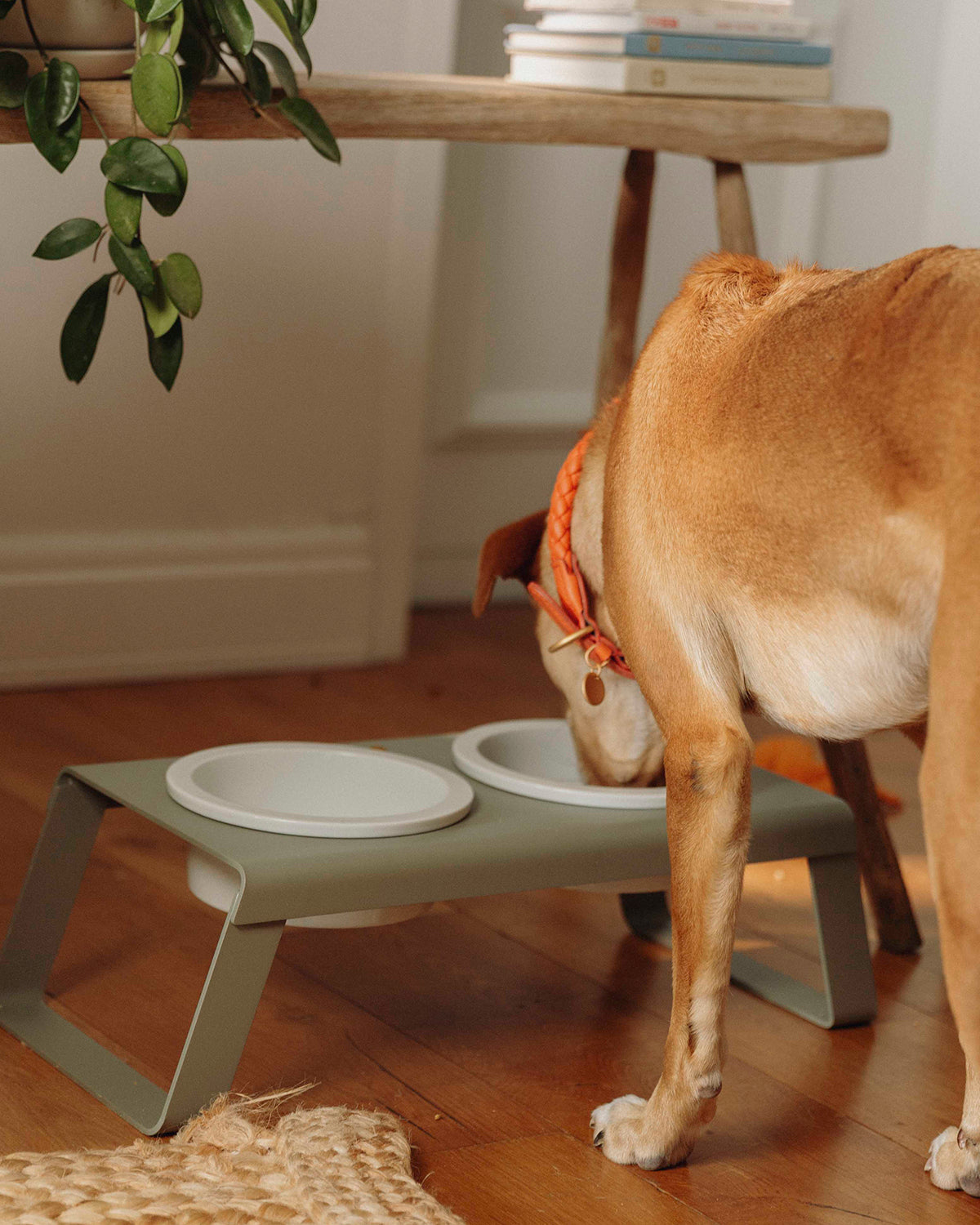 מעמד קערות מוגבה לכלב