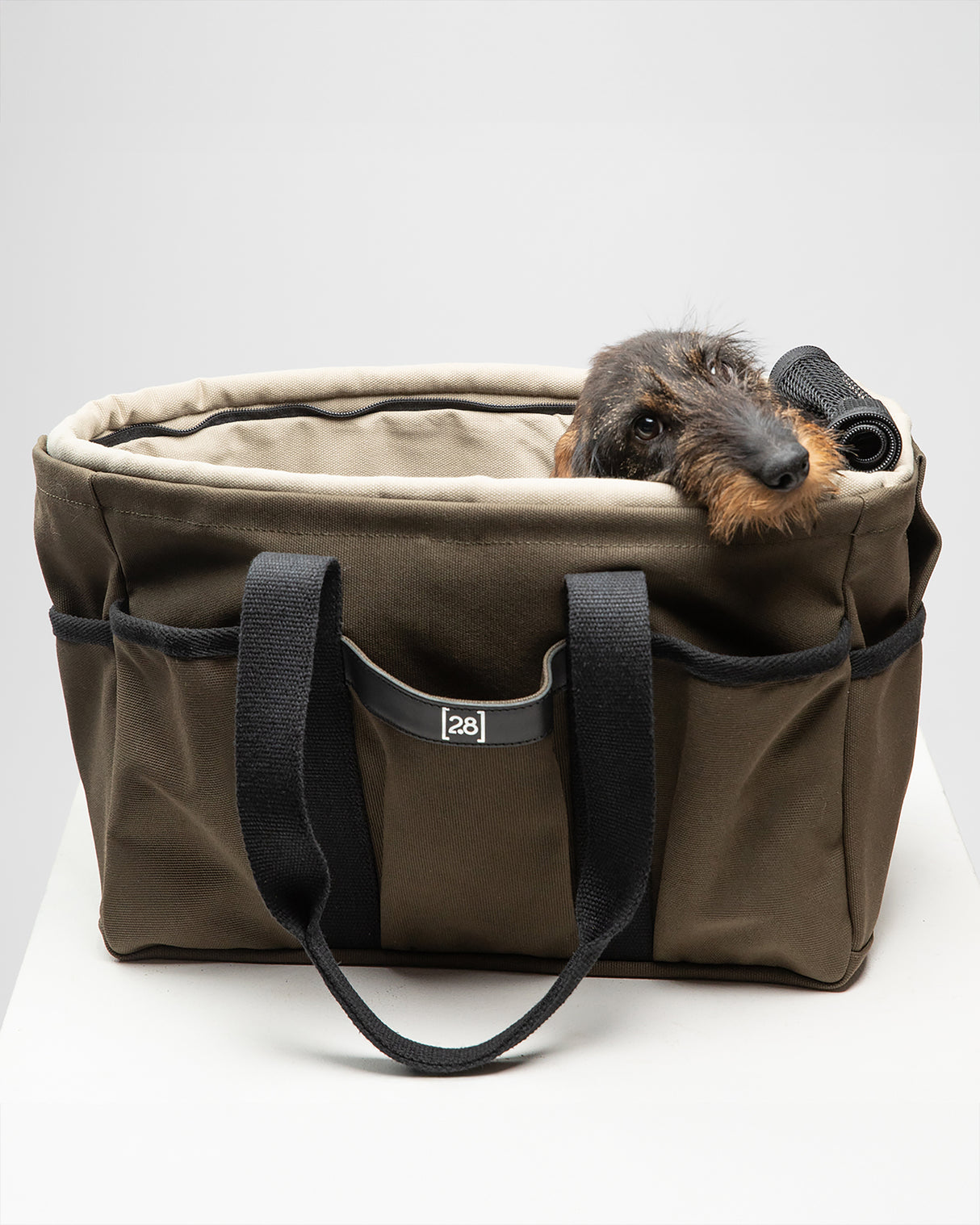 DIANA BAG | תיק נשיאה לכלב או תיק לבעלים