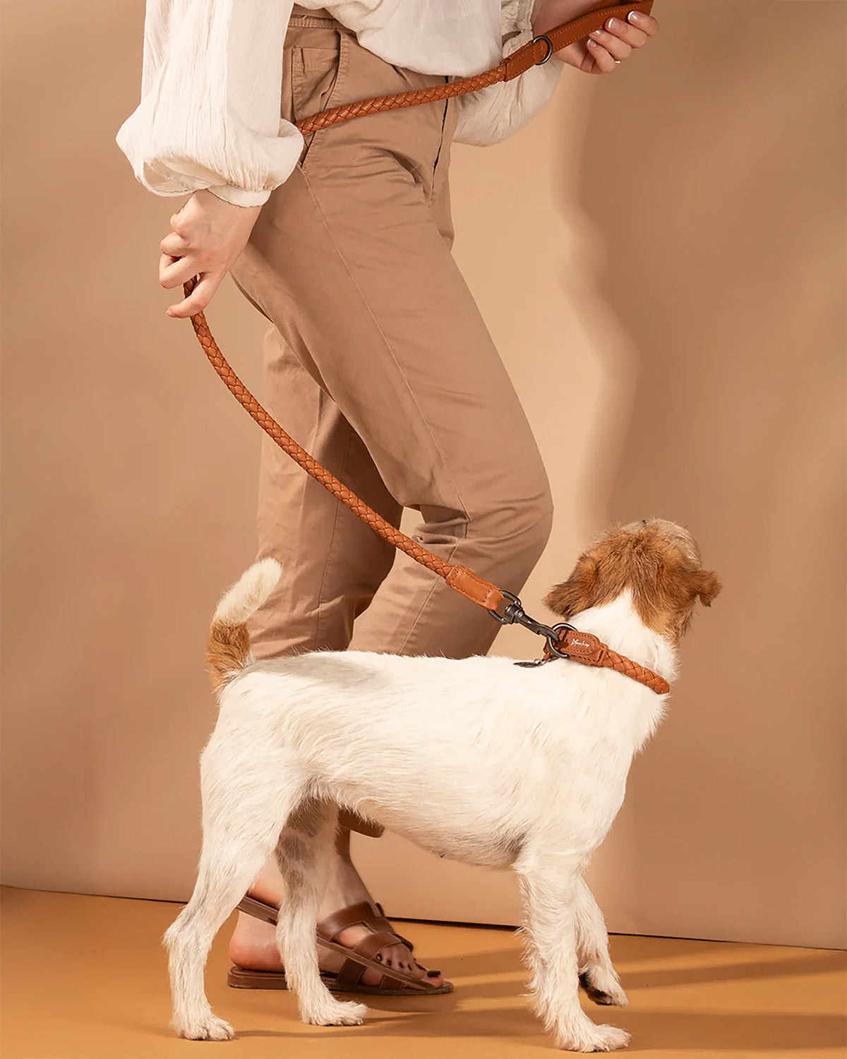 קולר עור לכלבים