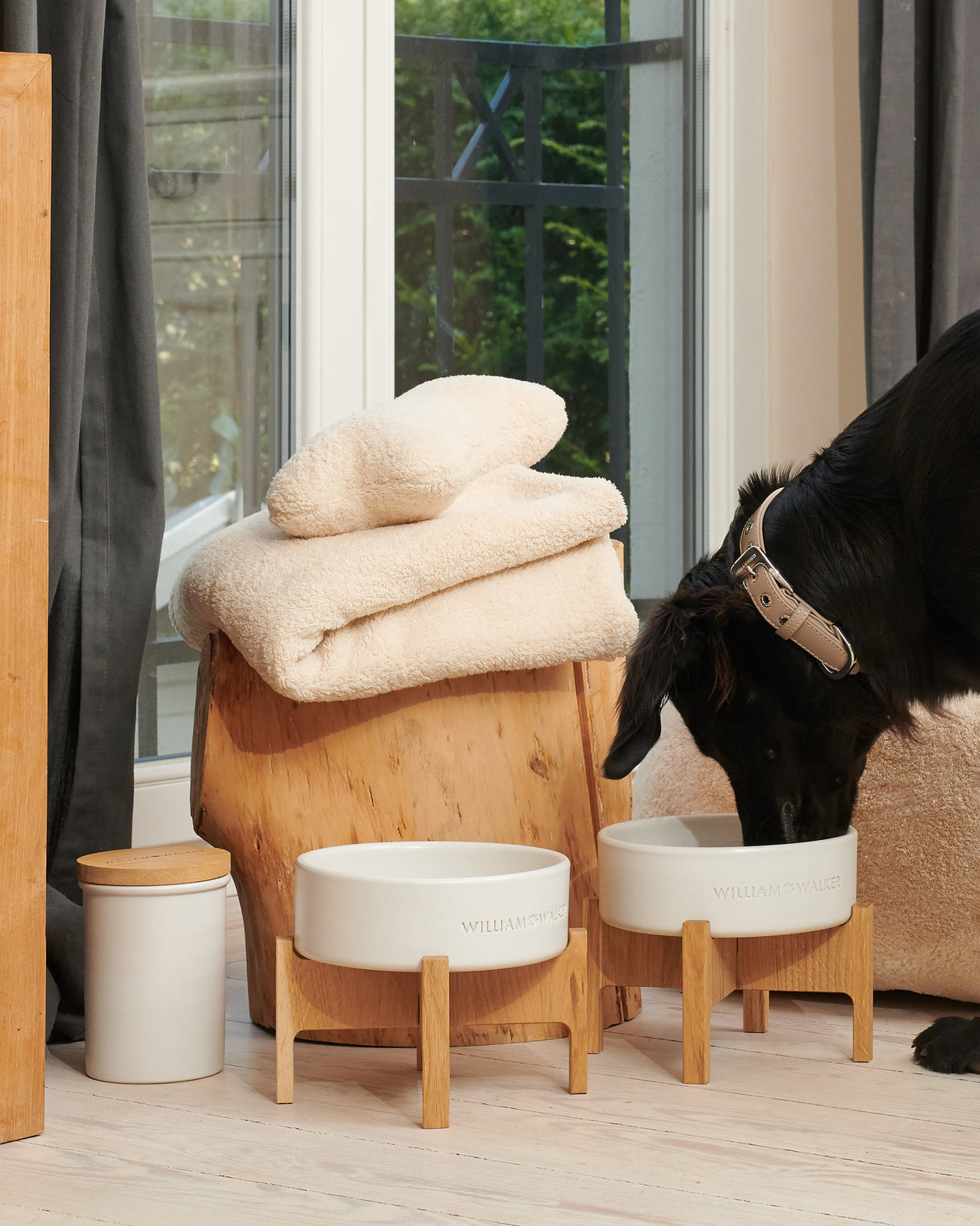 Ceramic Dog Food & Treat Jar | צנצנת לאחסון אוכל וחטיפים לכלב