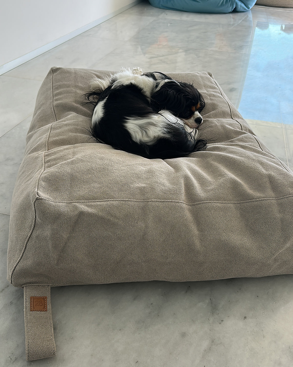 YOUSUF ORGANIC COTTON DOG BED | מיטה לכלב