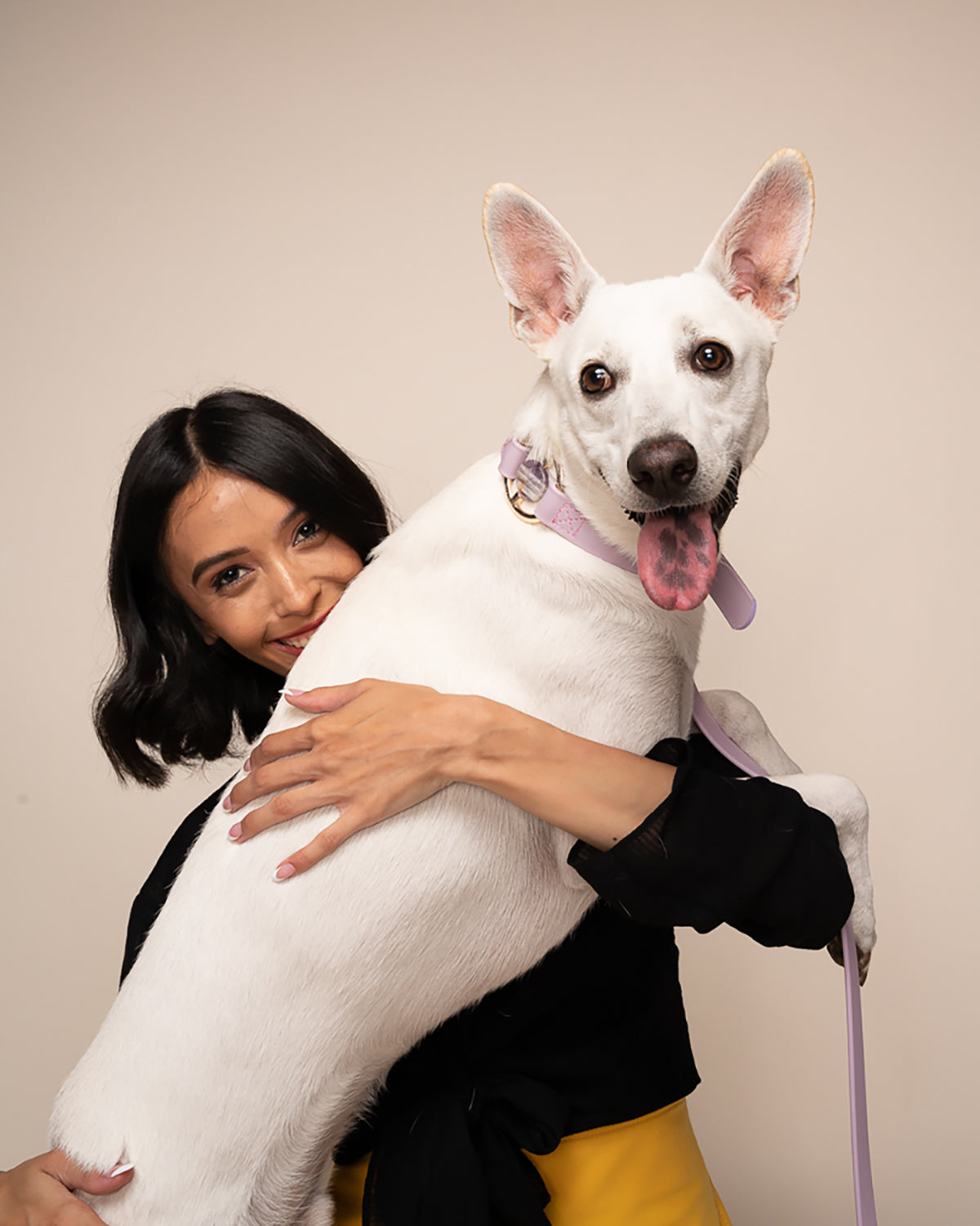 Crystal Walk Set For Dogs | סט רצועה וקולר משובץ אבן קריסטל