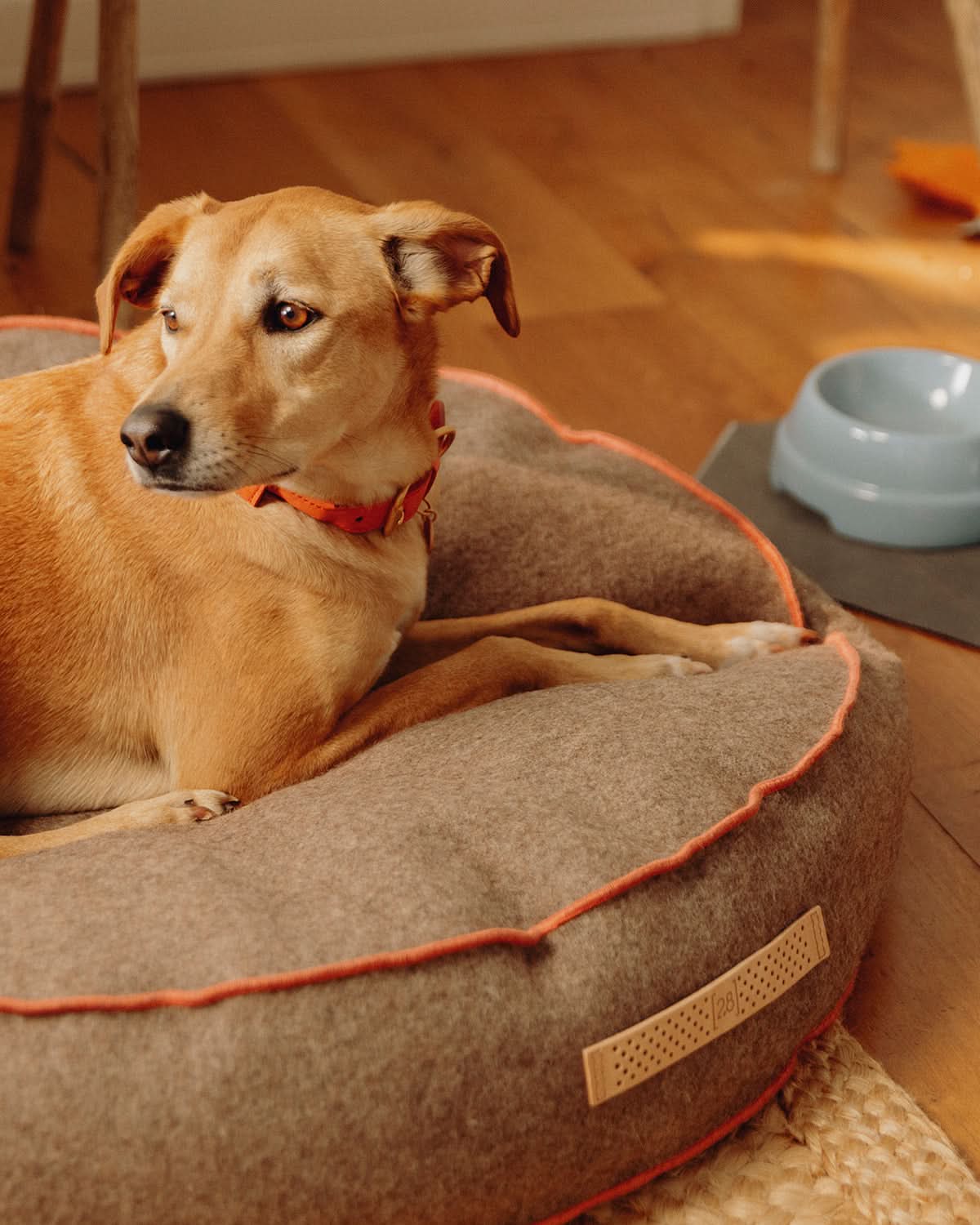 FULVIO RECYCLED WOOL | מיטת פוף לכלב