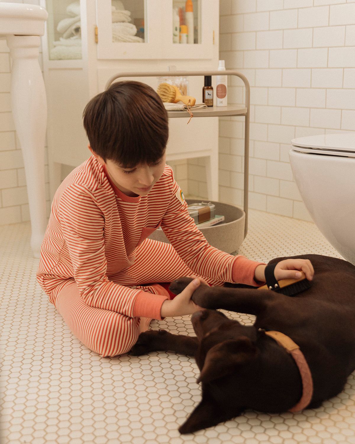 CURRYCOMB SHORTHAIR BRUSH | מברשת לכלב בעל פרווה קצרה