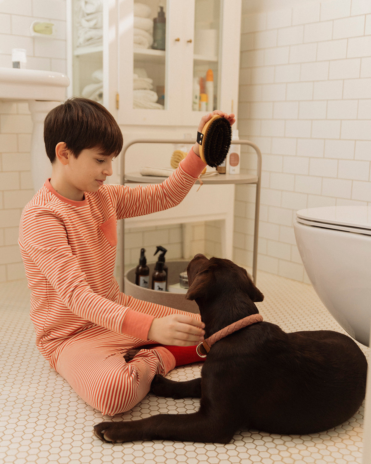 CURRYCOMB SHORTHAIR BRUSH | מברשת לכלב בעל פרווה קצרה