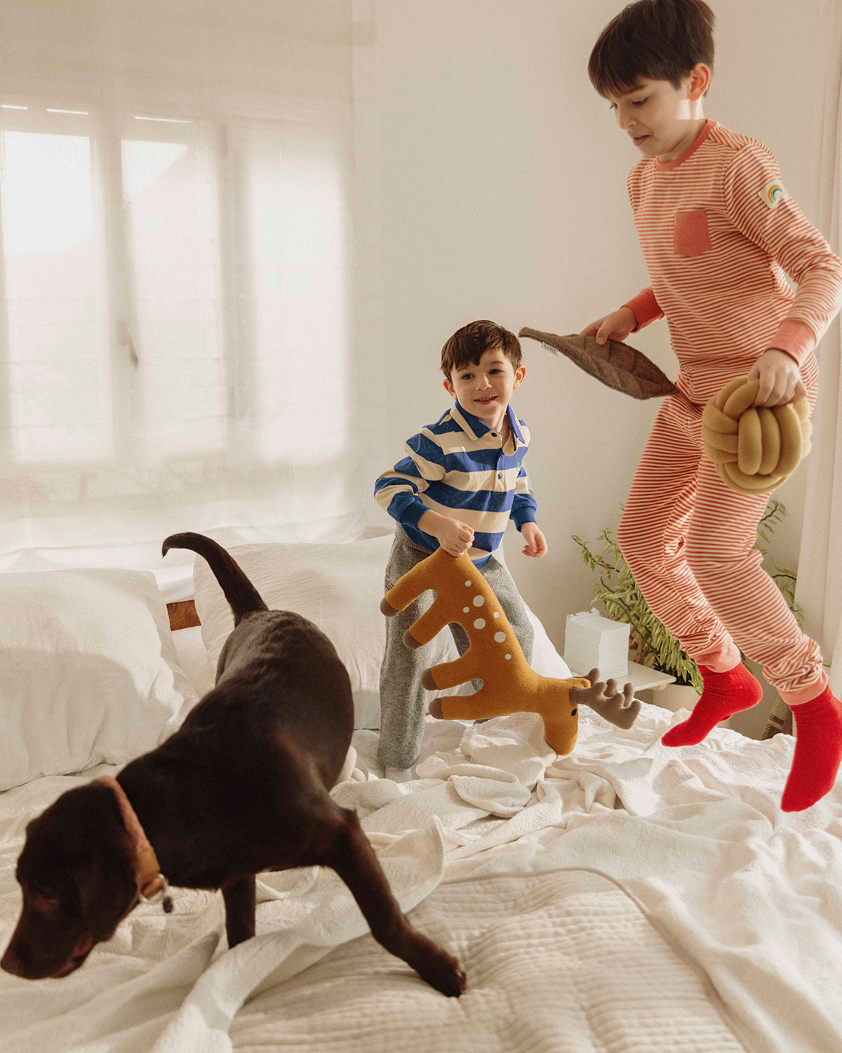 TUBO ACTIVITY TOY | צעצוע הפעלה לכלב