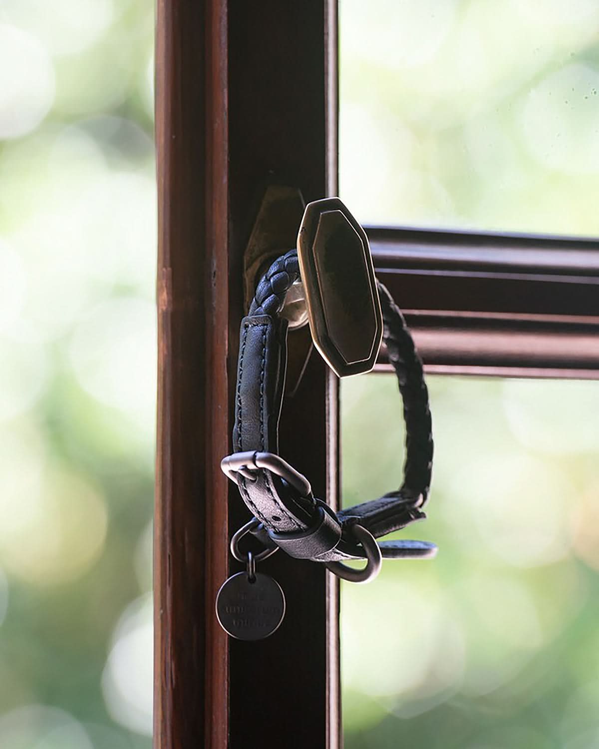 קולר עור לכלבים