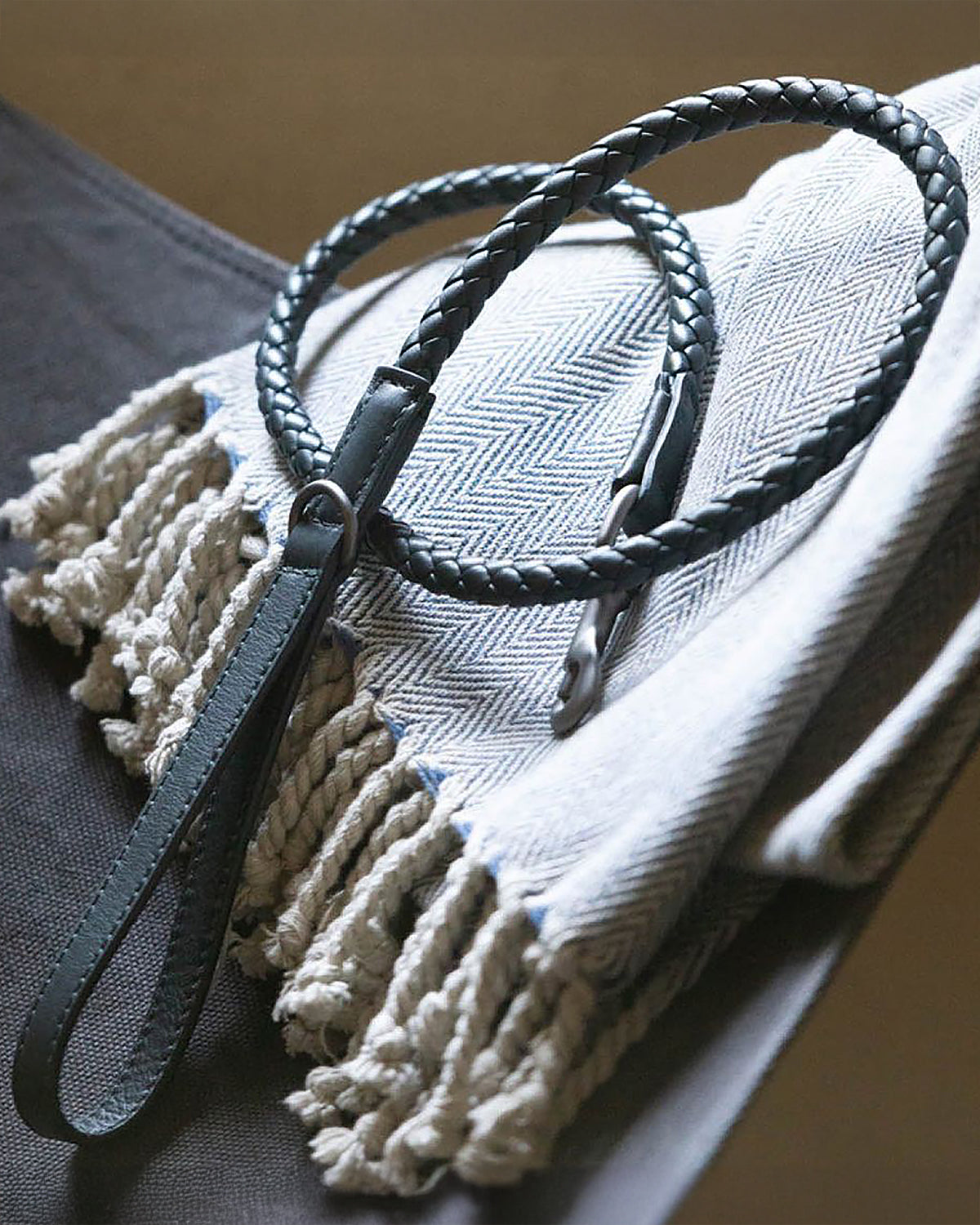 רצועת עור לכלב