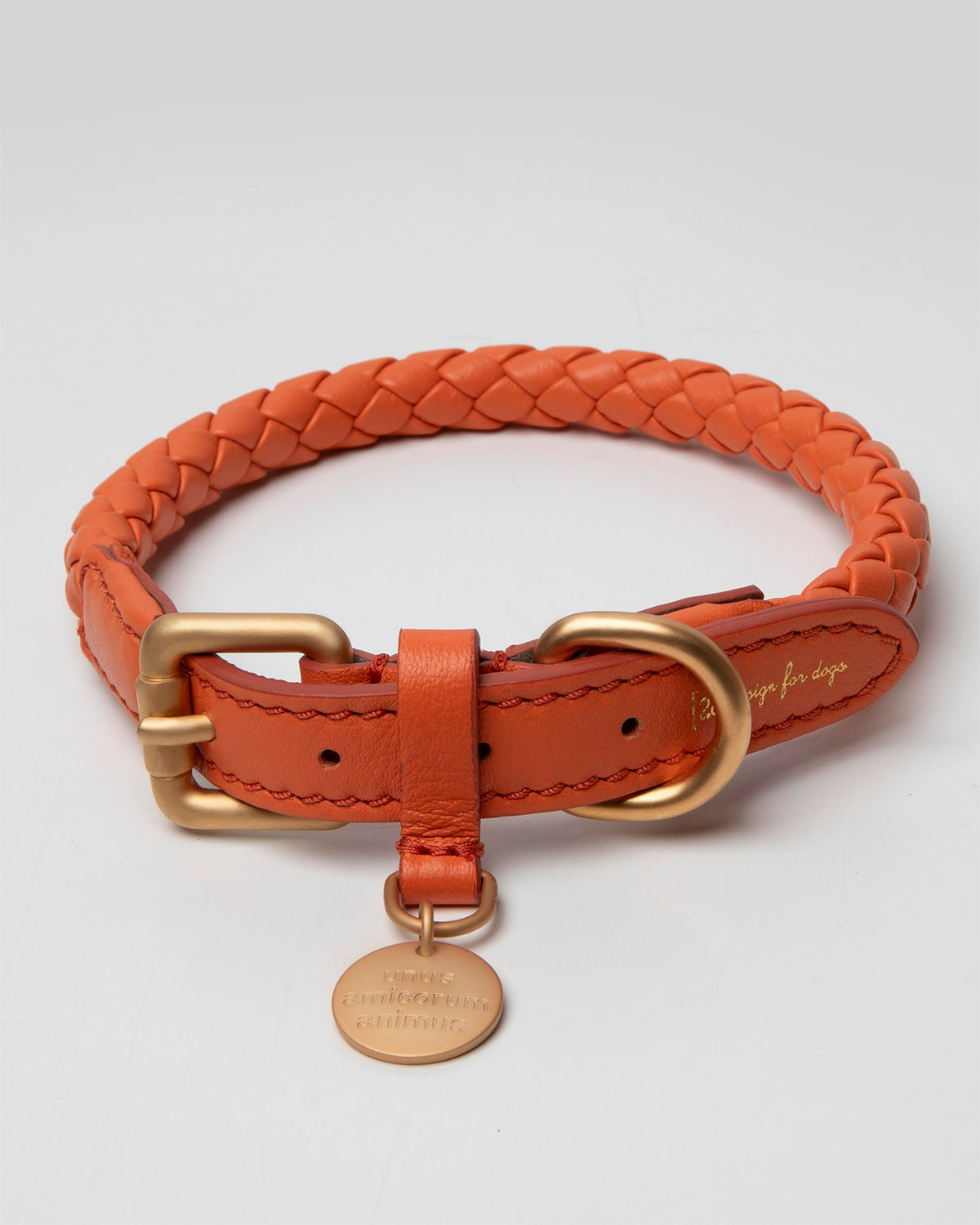 קולר לכלב, קולר עור לכלבים