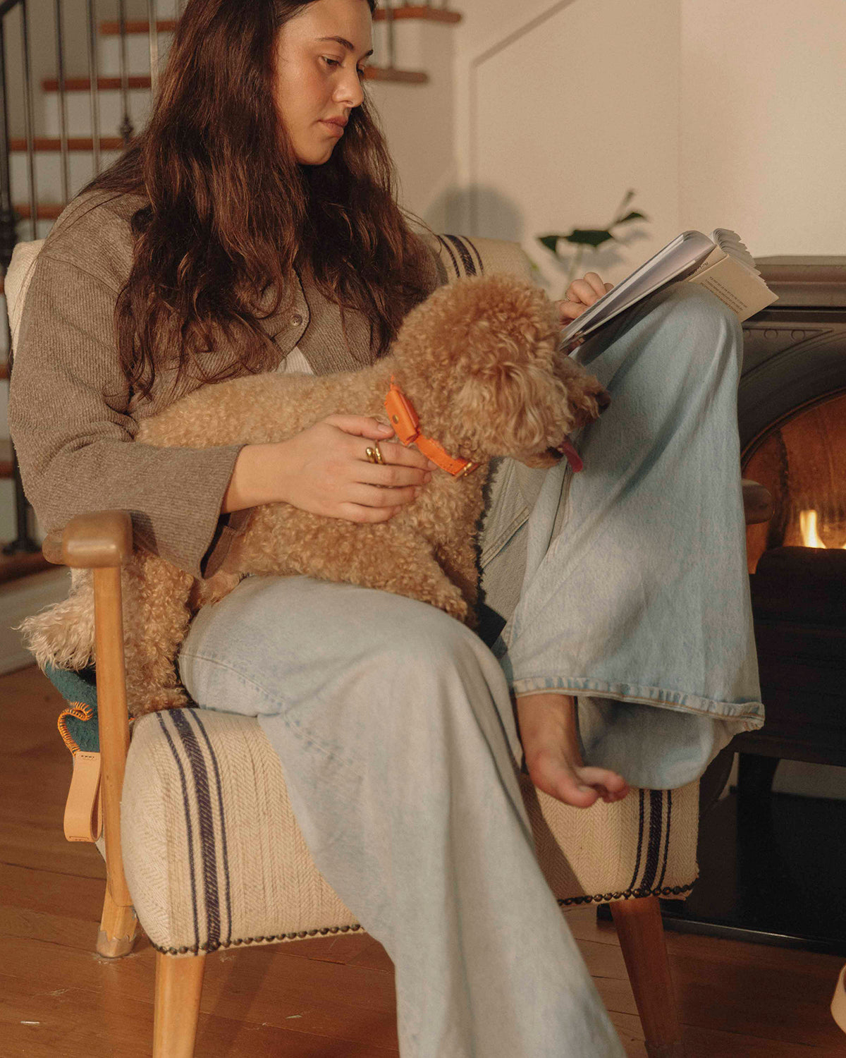 UGO AirTag® LEATHER HOLDER | קייס איירטאג לקולר ולרתמה לכלב