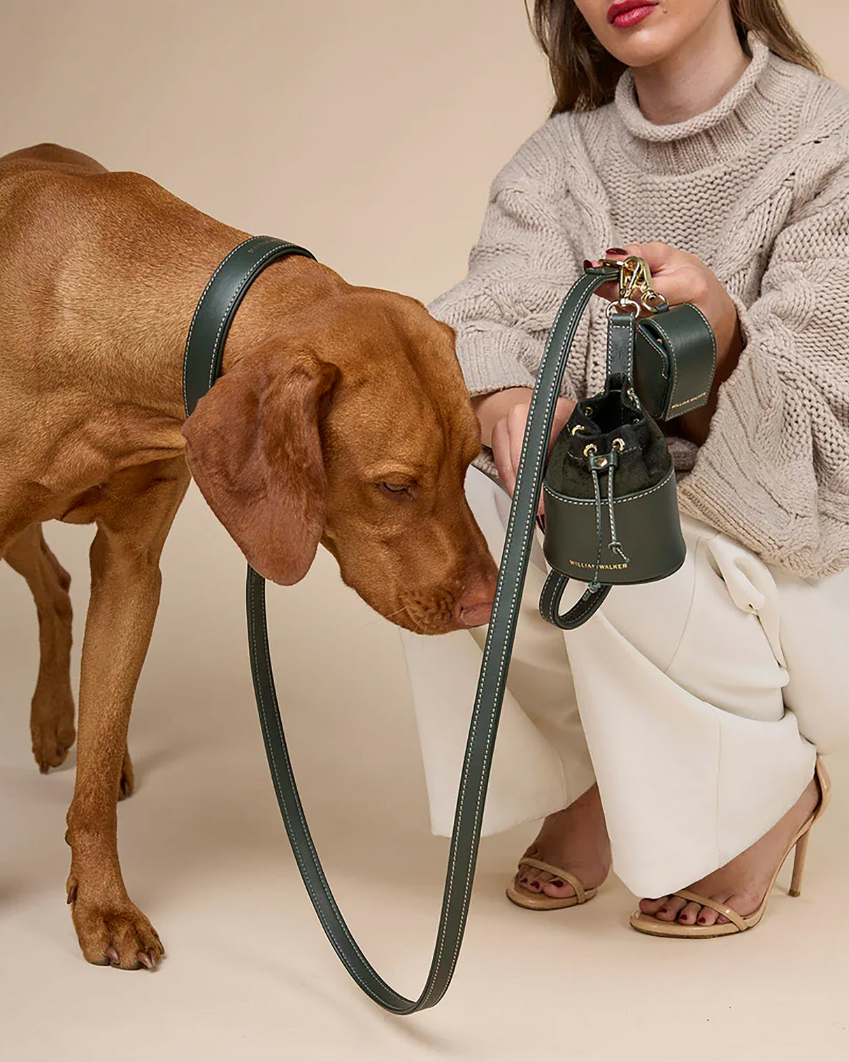 Luxe Suede Leather Dog Leash | רצועת עור ארוכה ומתכווננת לכלב