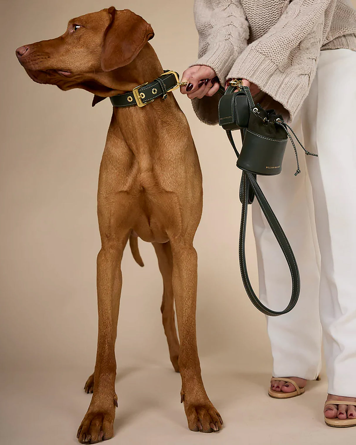 Luxe Suede Leather Dog Leash | רצועת עור ארוכה ומתכווננת לכלב