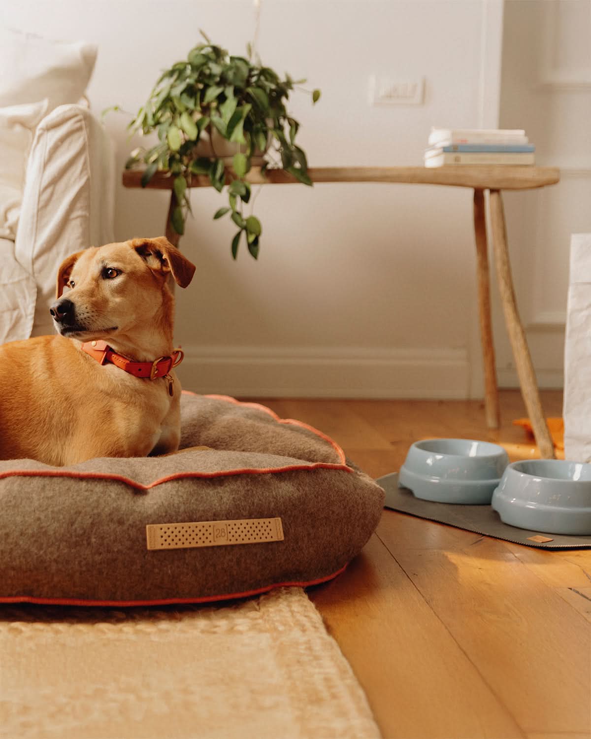 FULVIO RECYCLED WOOL | מיטת פוף לכלב