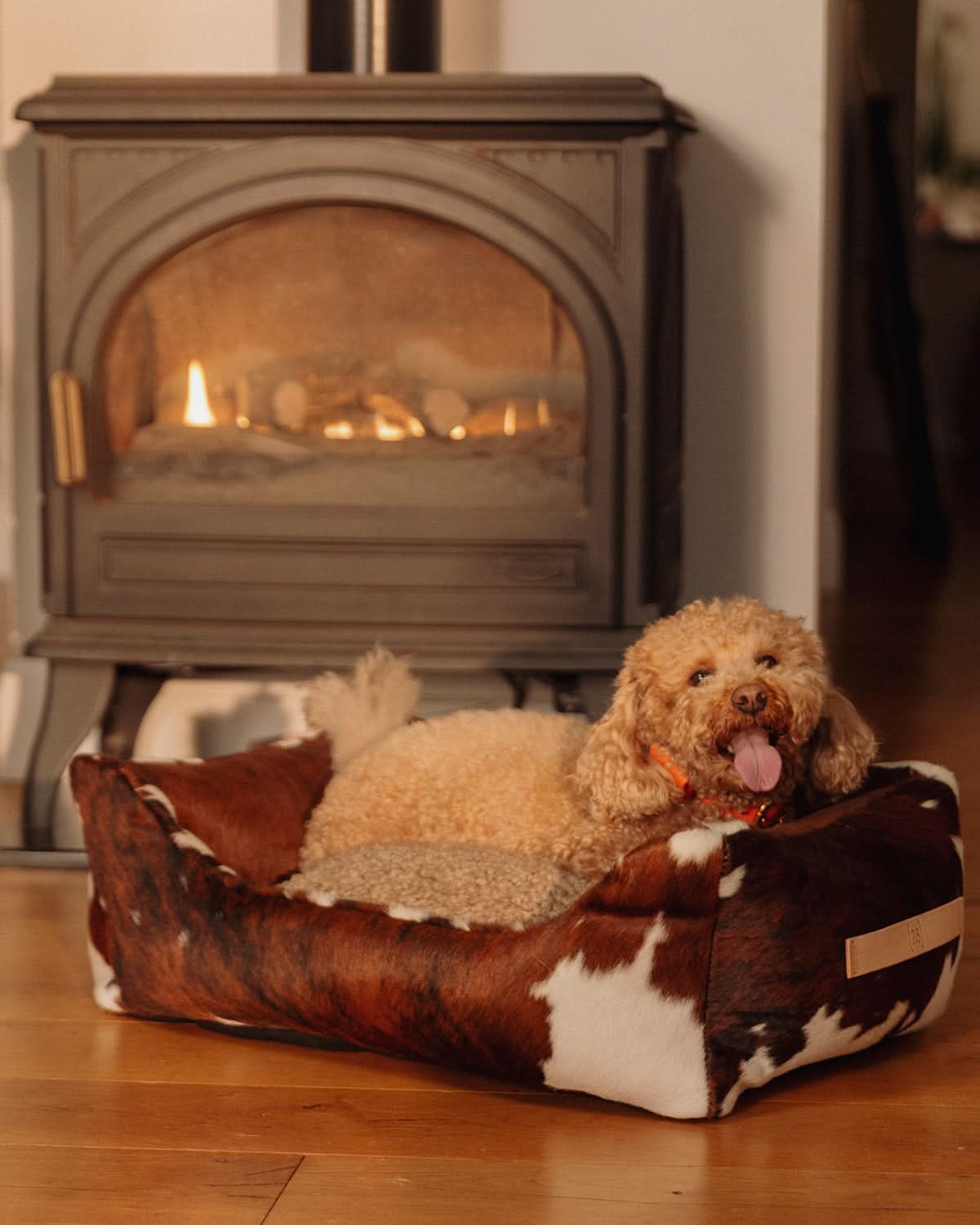 HENRI COWHIDE DOG BED | מיטה לכלב