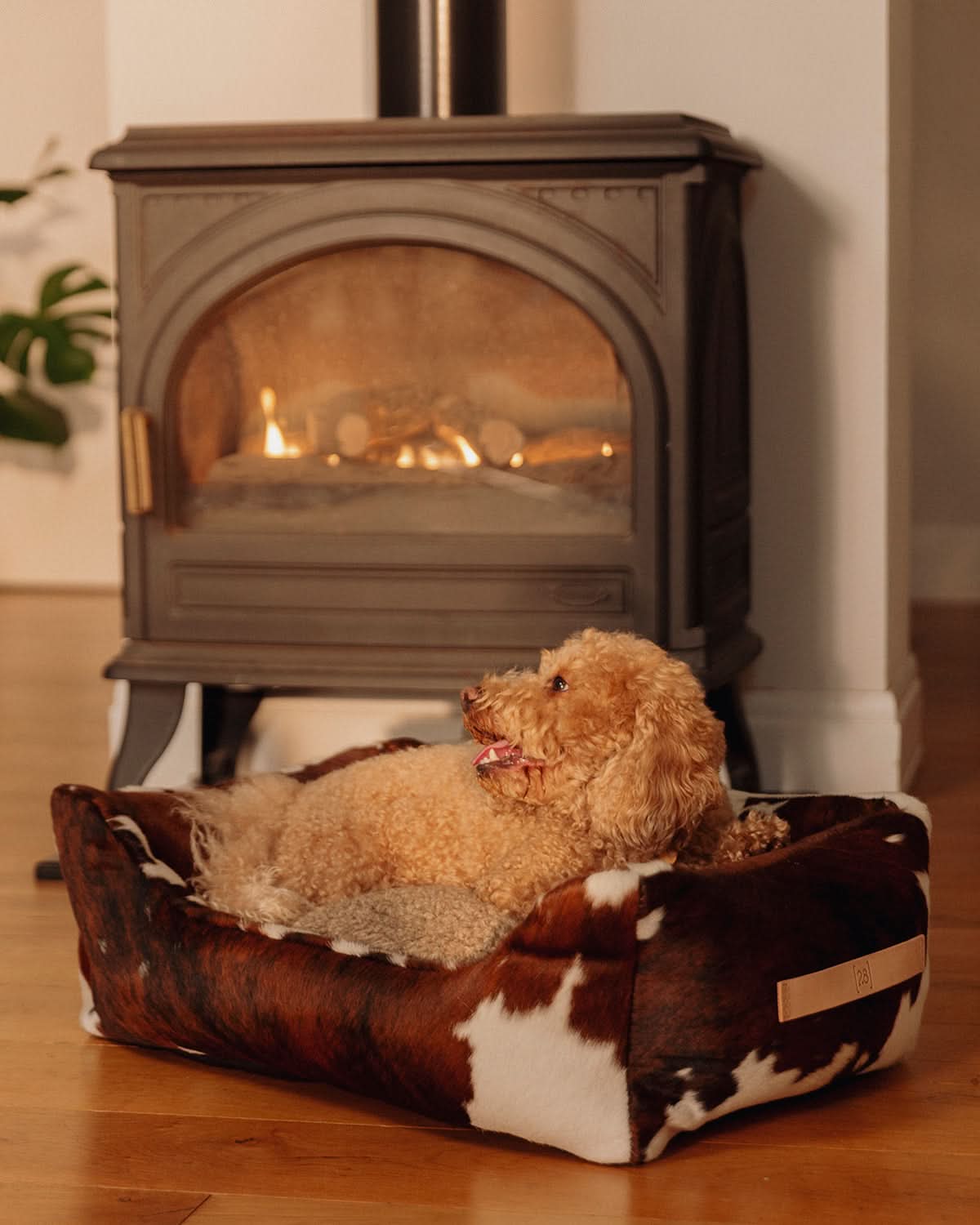 HENRI COWHIDE DOG BED | מיטה לכלב