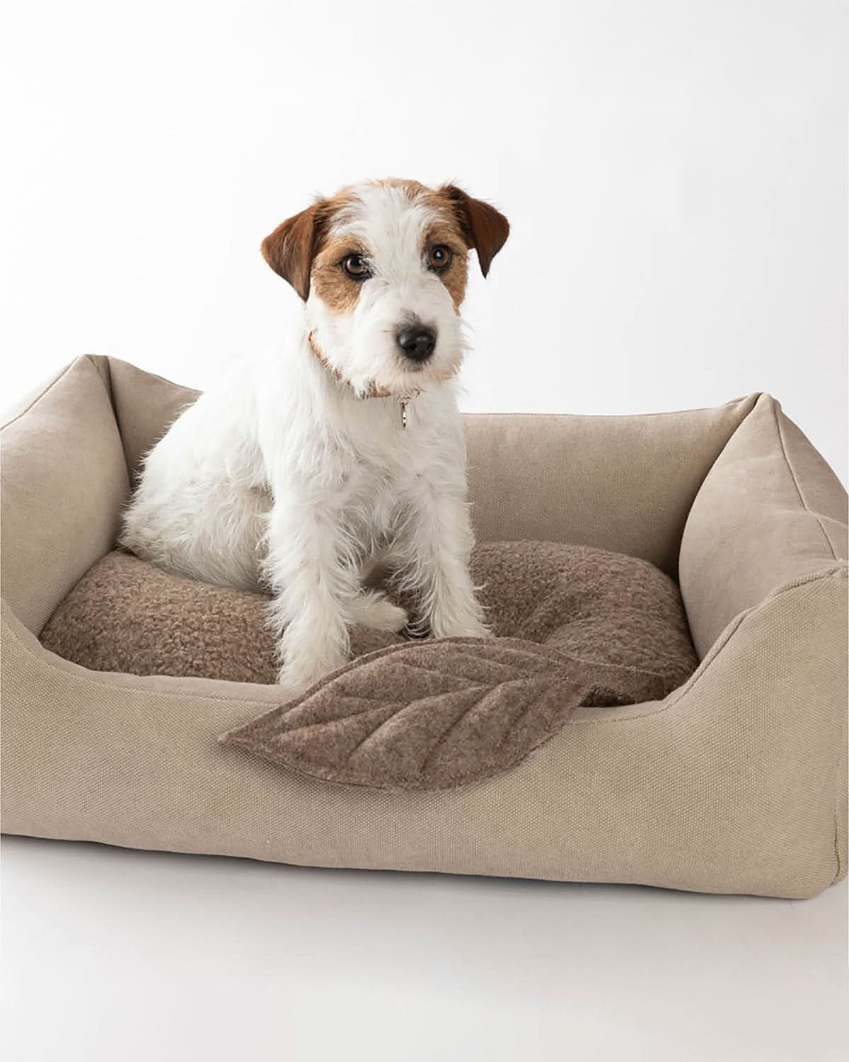 HENRI ORGANIC COTTON DOG BED | מיטה לכלב