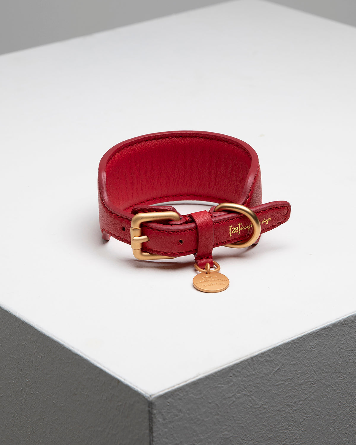 קולר לכלב, קולר עור לכלב, קולר לכלבי רוח, קולר לגורים