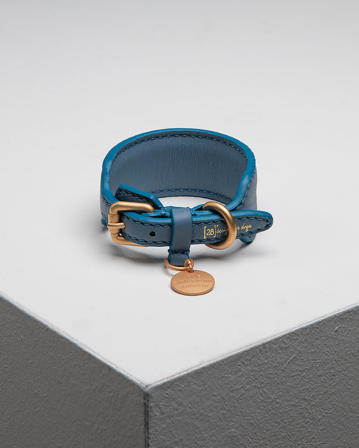 קולר לכלב, קולר עור לכלב, קולר לכלבי רוח, קולר לגורים