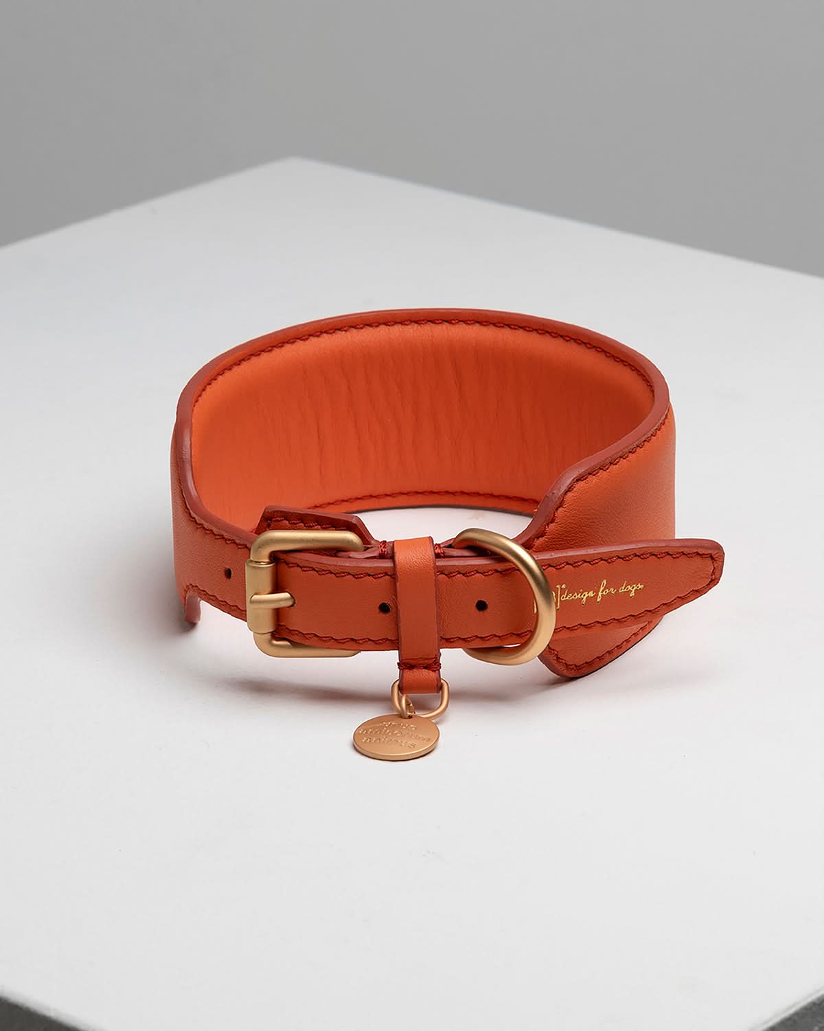 קולר לכלב, קולר עור לכלב, קולר לכלבי רוח, קולר לגורים