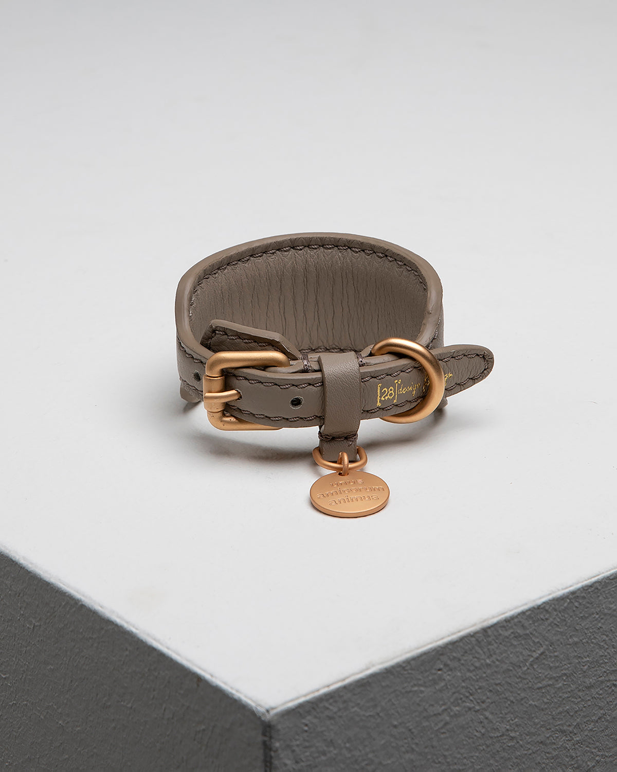 קולר לכלב, קולר עור לכלב, קולר לכלבי רוח, קולר לגורים