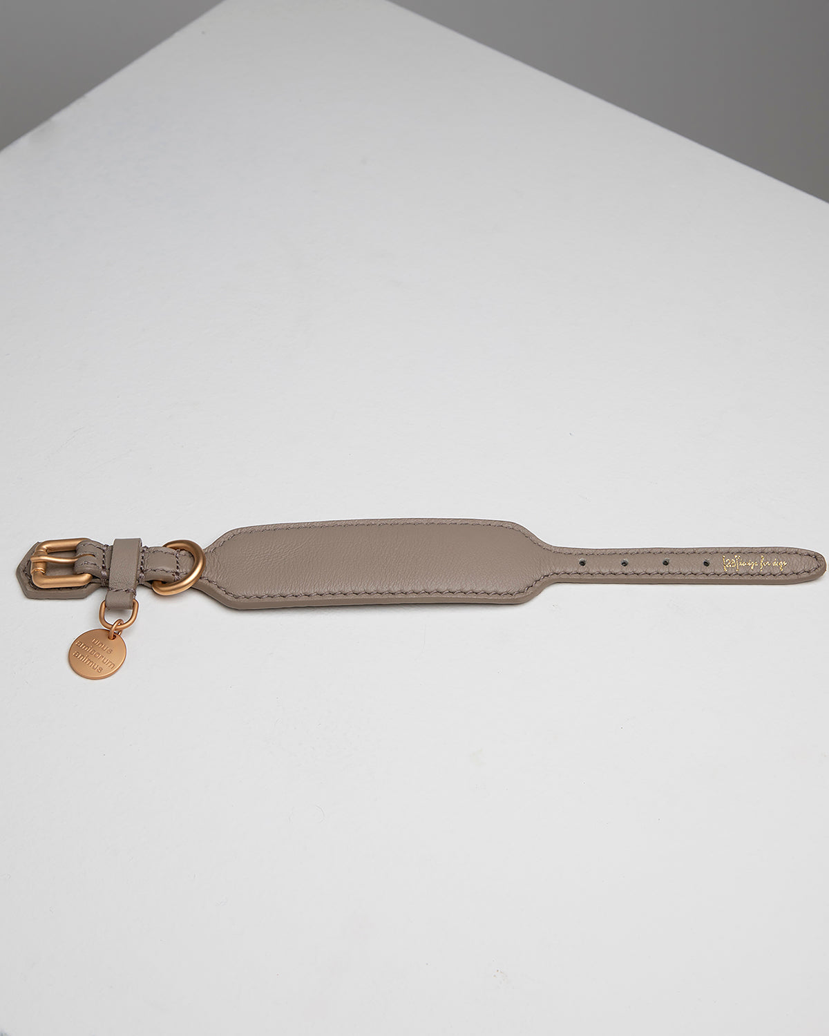 MARIO WIDE LEATHER COLLAR | קולר עור רחב לכלב