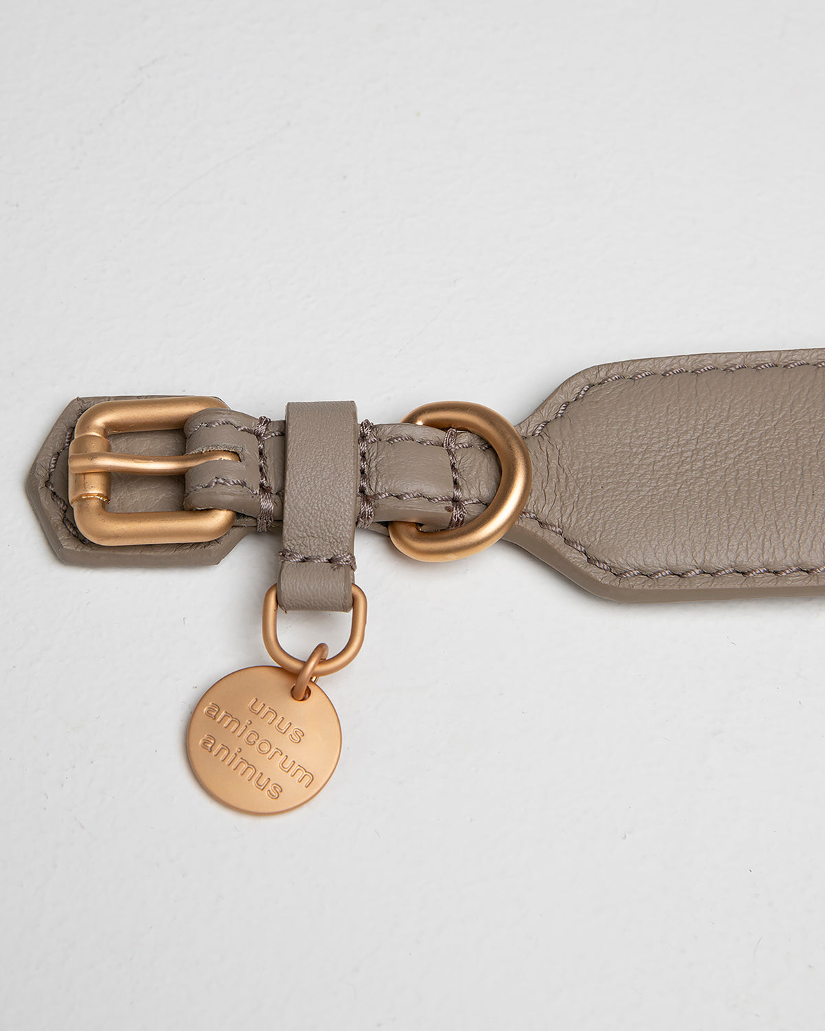 MARIO WIDE LEATHER COLLAR | קולר עור רחב לכלב