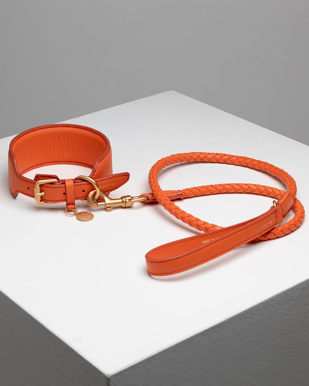 רצועת עור לכלב