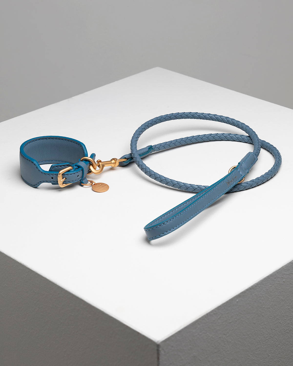 רצועת עור לכלב