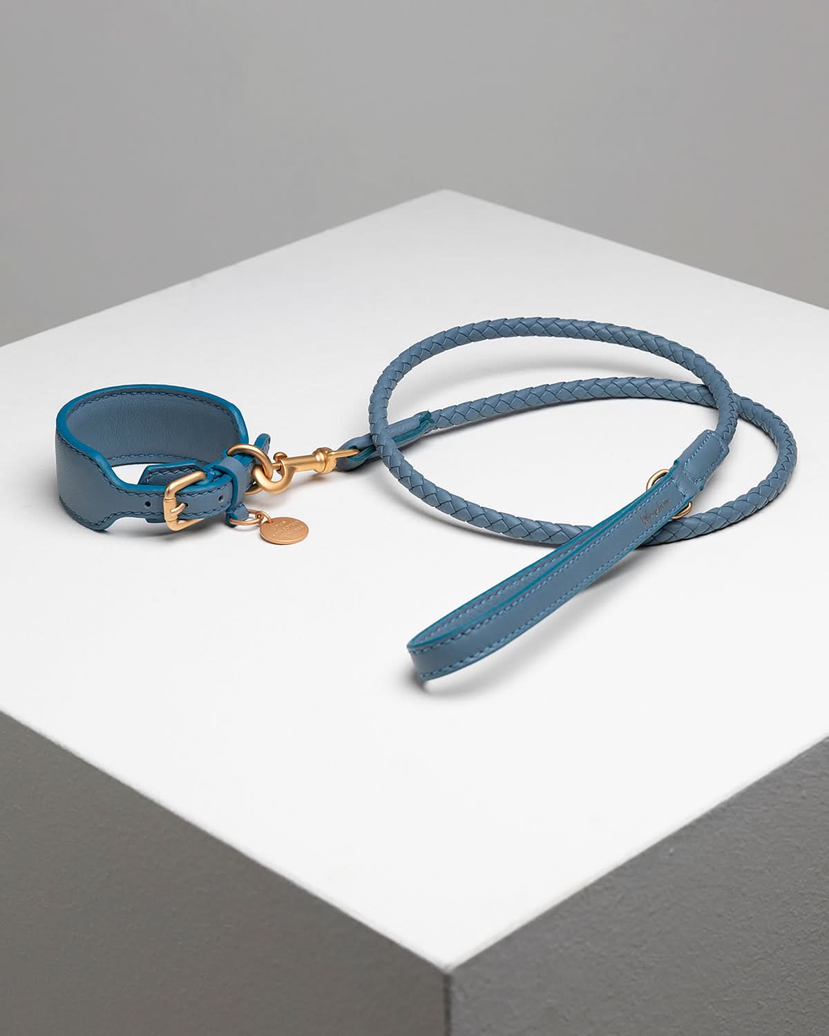 רצועת עור לכלב