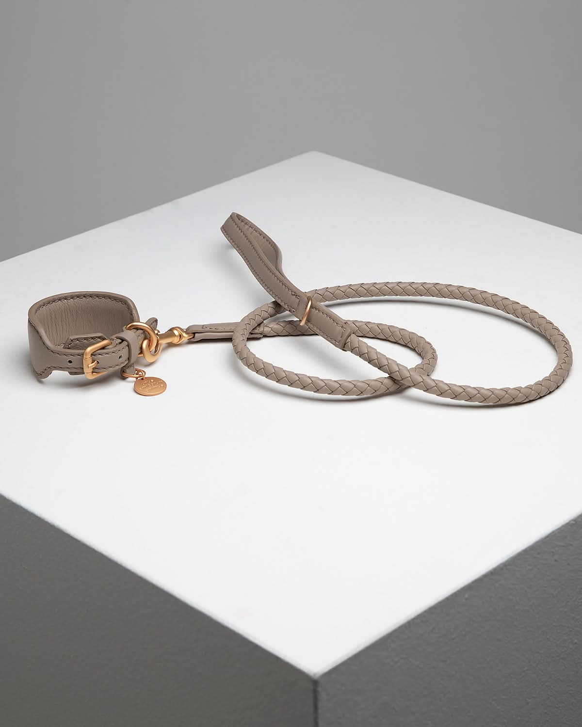 רצועת עור לכלב