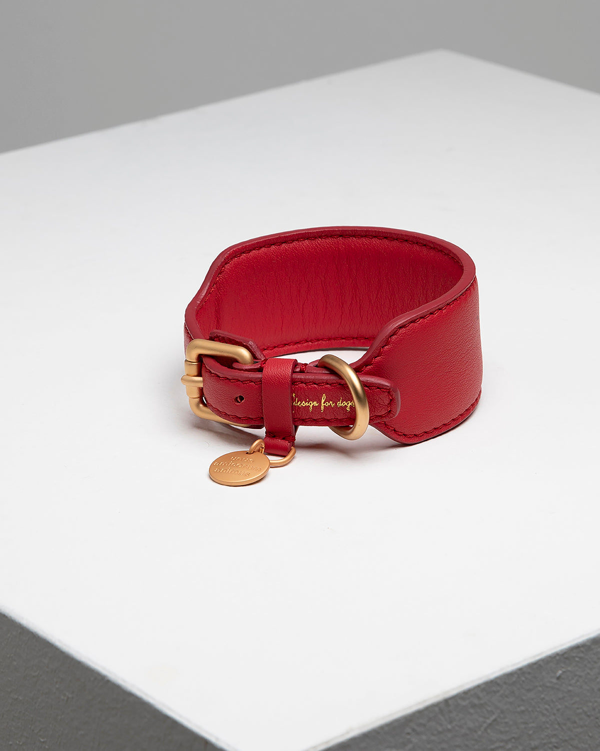 MARIO WIDE LEATHER COLLAR | קולר עור רחב לכלב