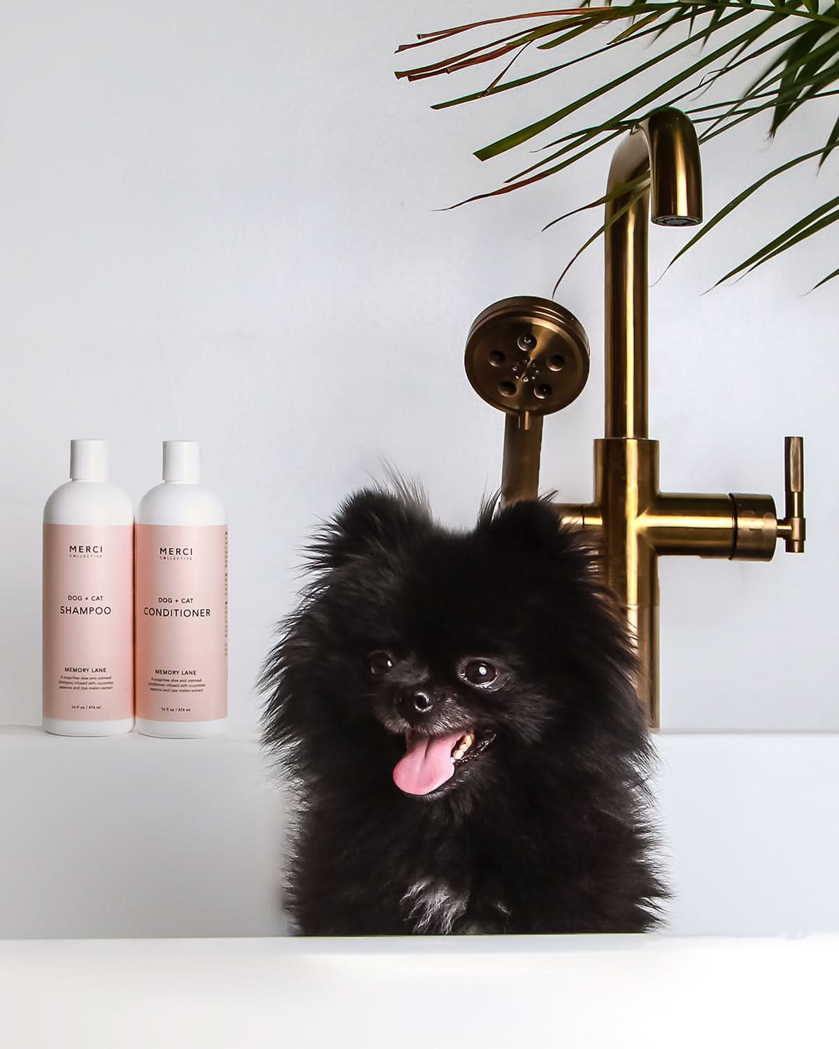 ENERGY CRYSTAL INFUSED SHAMPOO | שמפו מועשר באבני קריסטל אנרגטיות