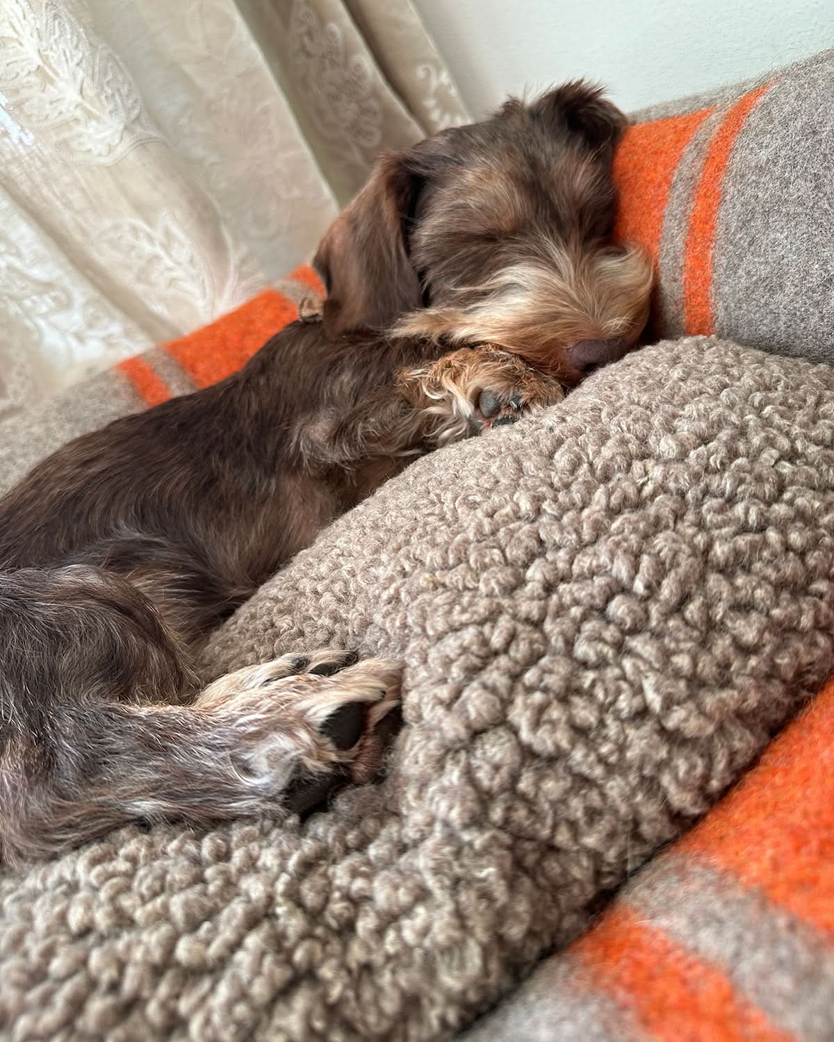 HENRI RECYCLED WOOL DOG BED | מיטה לכלב