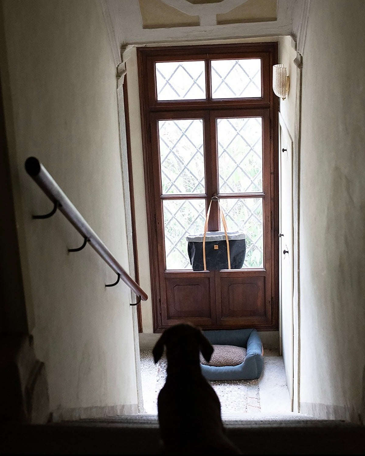 HENRI COTTON CANVAS BED | מיטה לכלב