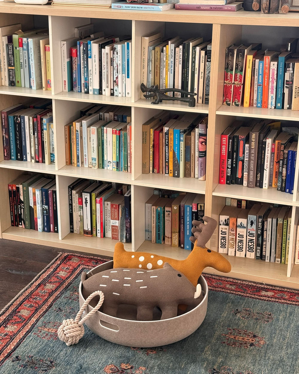 CESTO BASKET | סלסלת צעצועים או פינת רביצה לכלבים קטנים