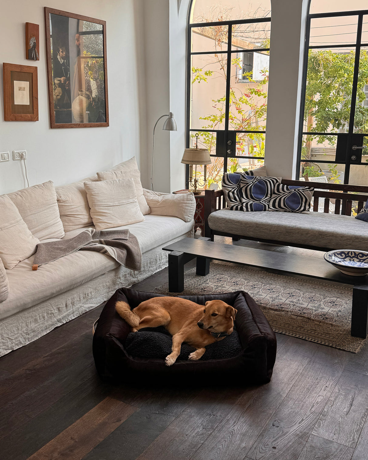 HENRI DARK COWHIDE BED | מיטה לכלב