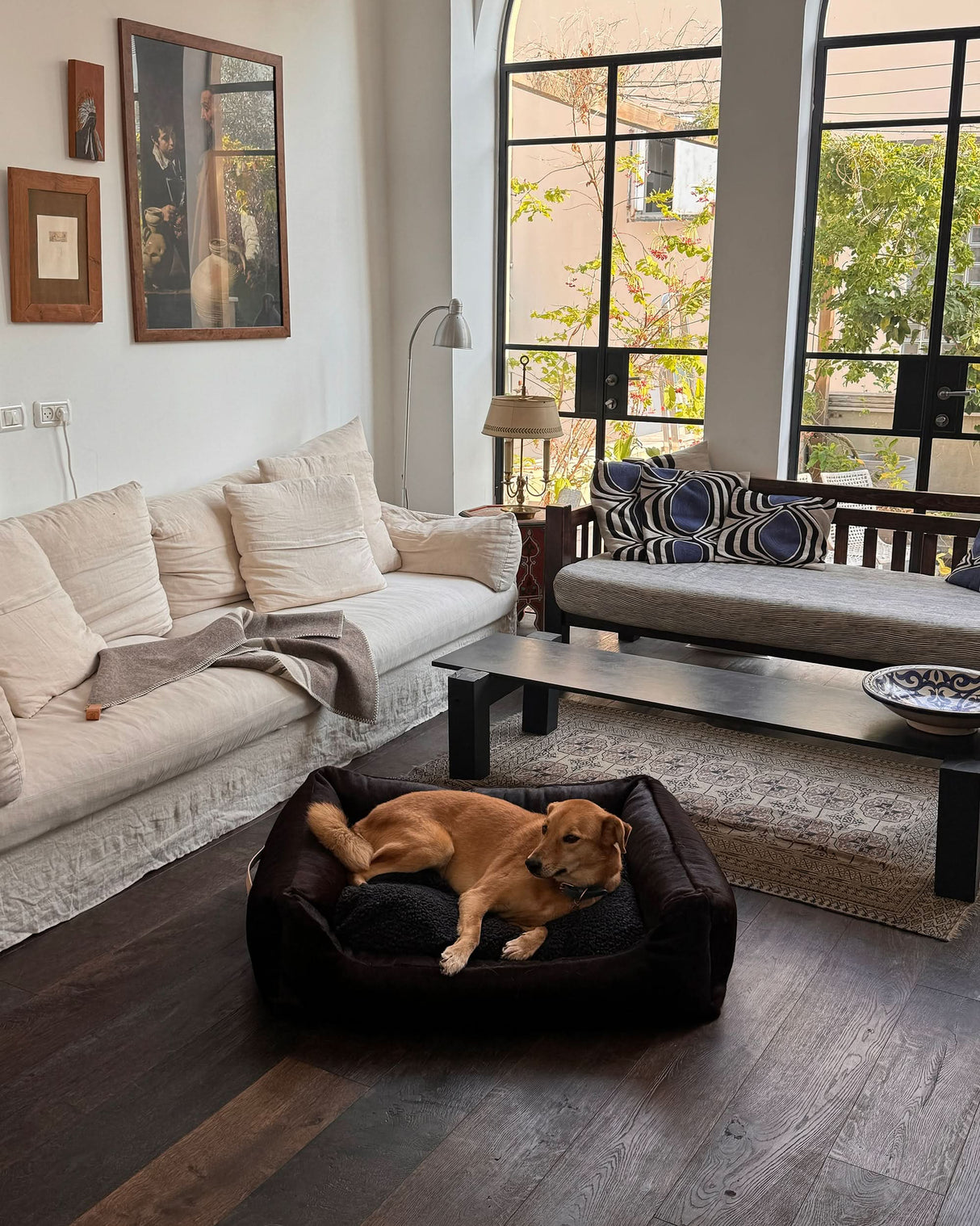 HENRI DARK COWHIDE DOG BED | מיטה לכלב