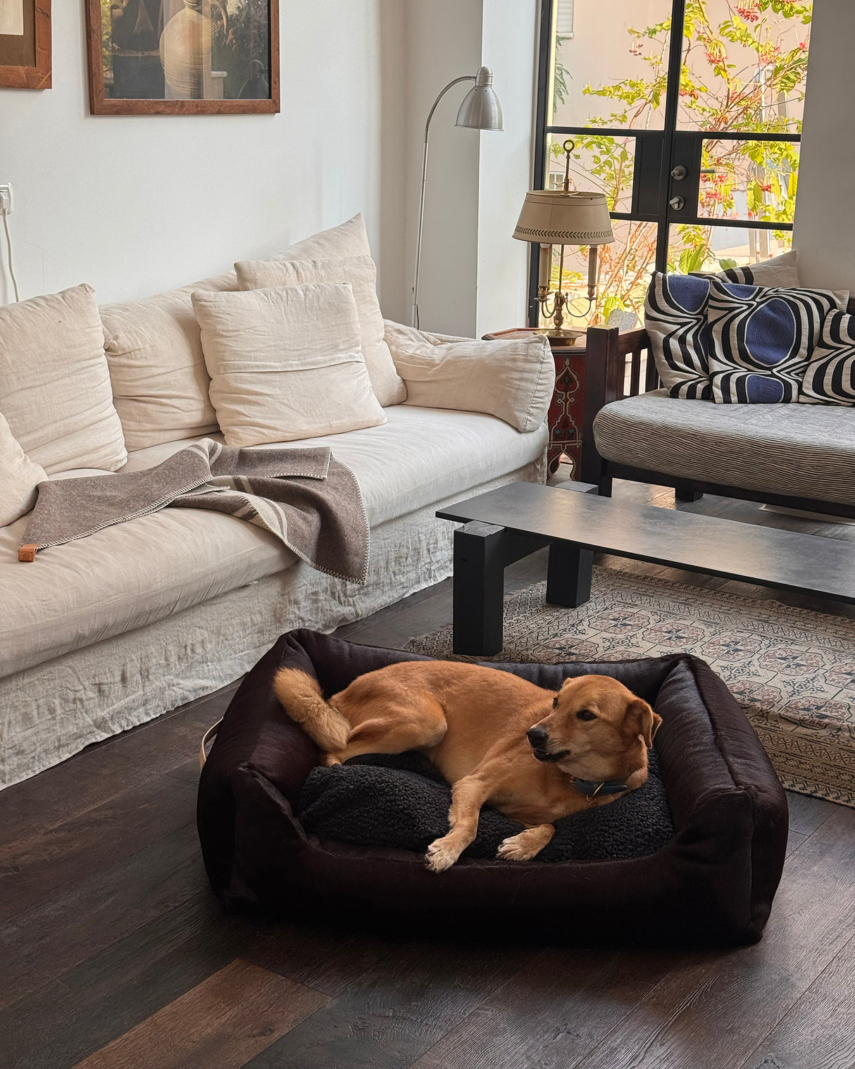 HENRI DARK COWHIDE BED | מיטה לכלב