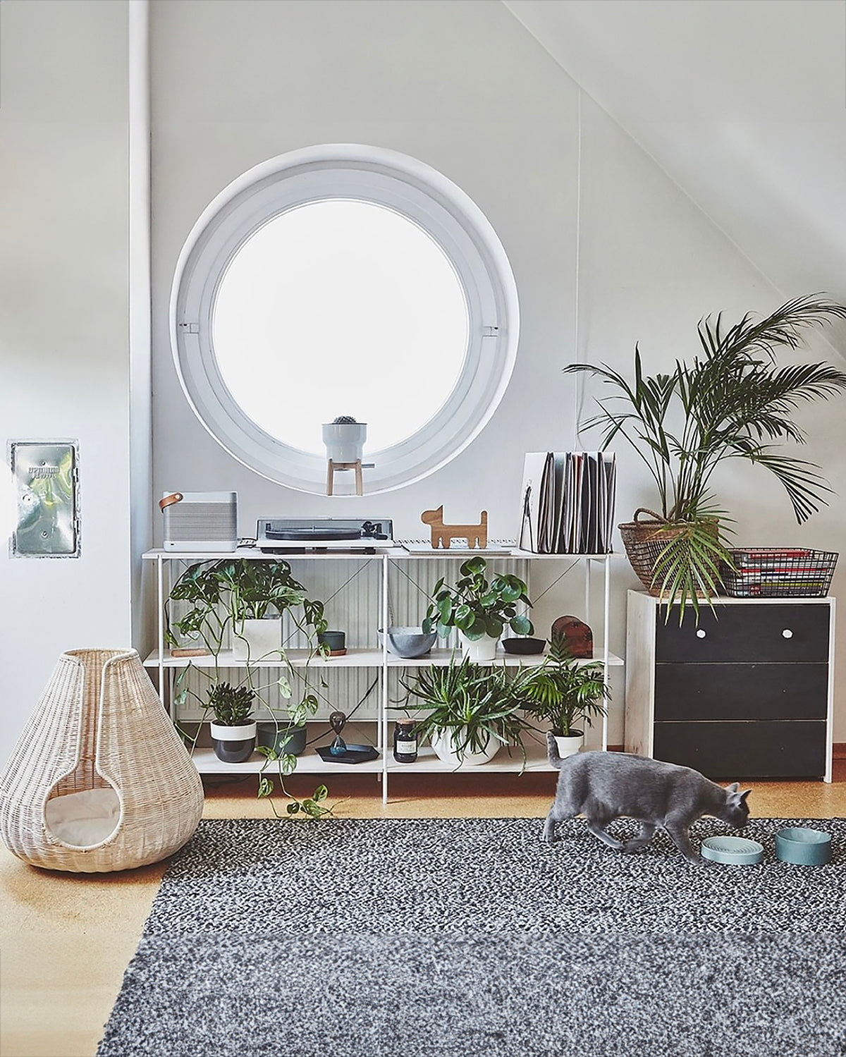 סט קערות חתול לפיאטו ופרסקו | סטקערות פורצלן לחתולים