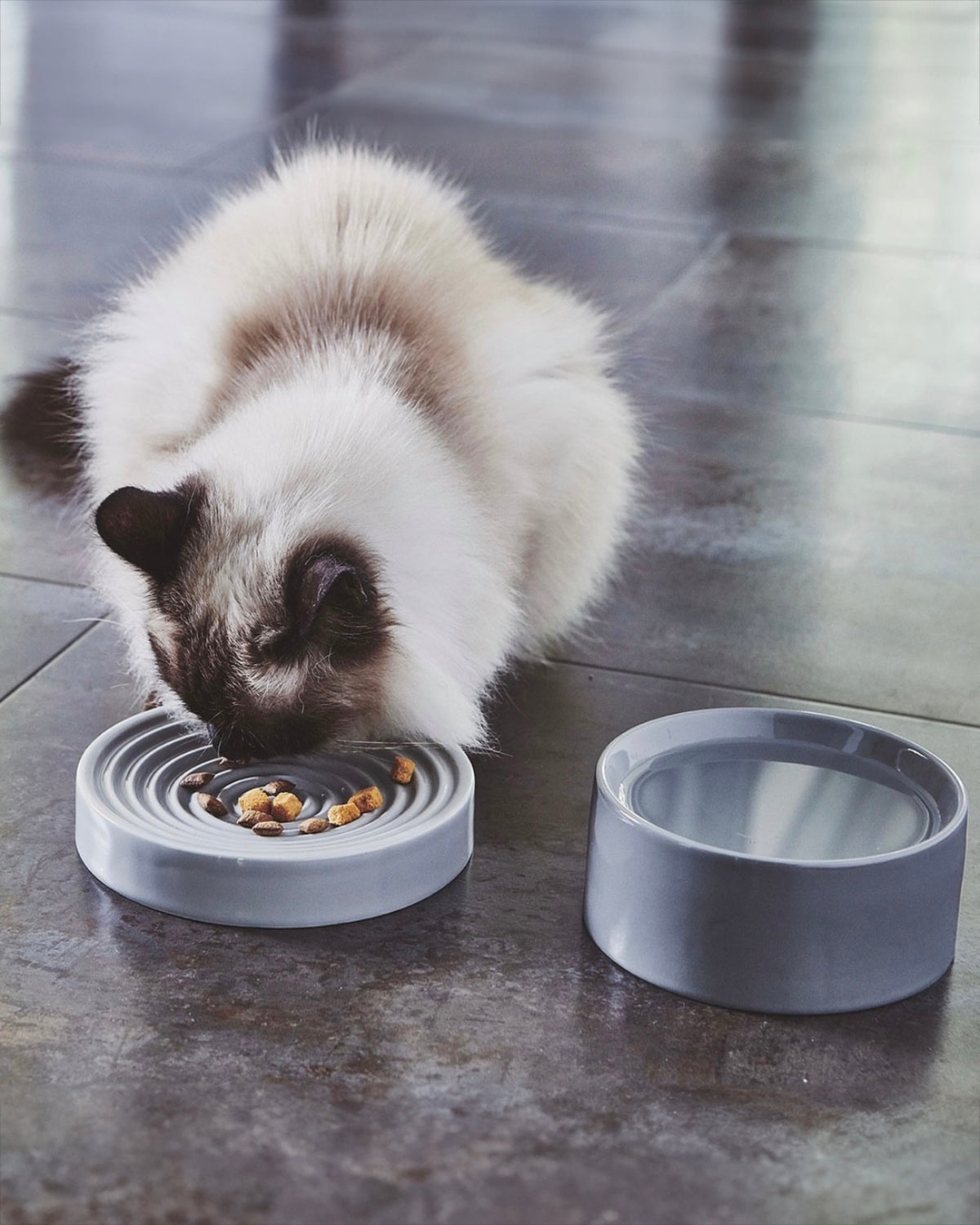 PIATTO & FRESCO CAT BOWLS SET | סט קערות פורצלן לחתולים