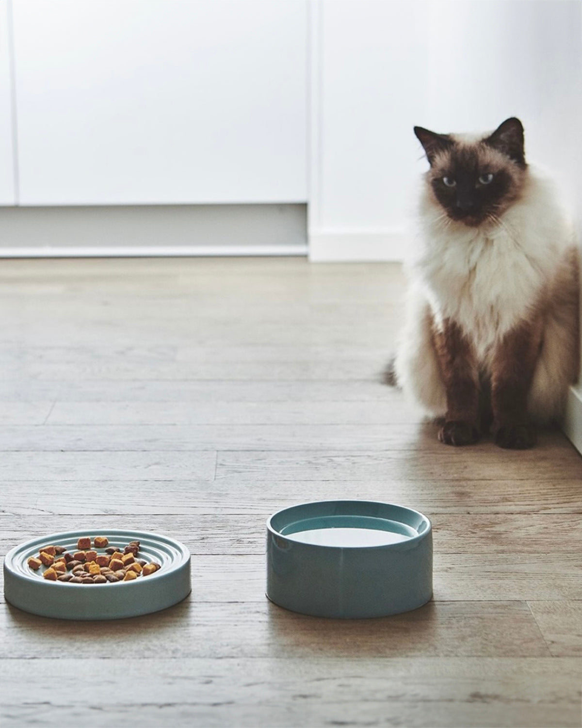 PIATTO & FRESCO CAT BOWLS SET | סט קערות פורצלן לחתולים