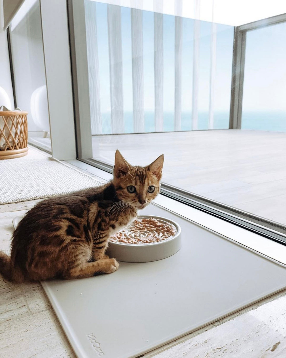 סט קערות חתול לפיאטו ופרסקו | סטקערות פורצלן לחתולים