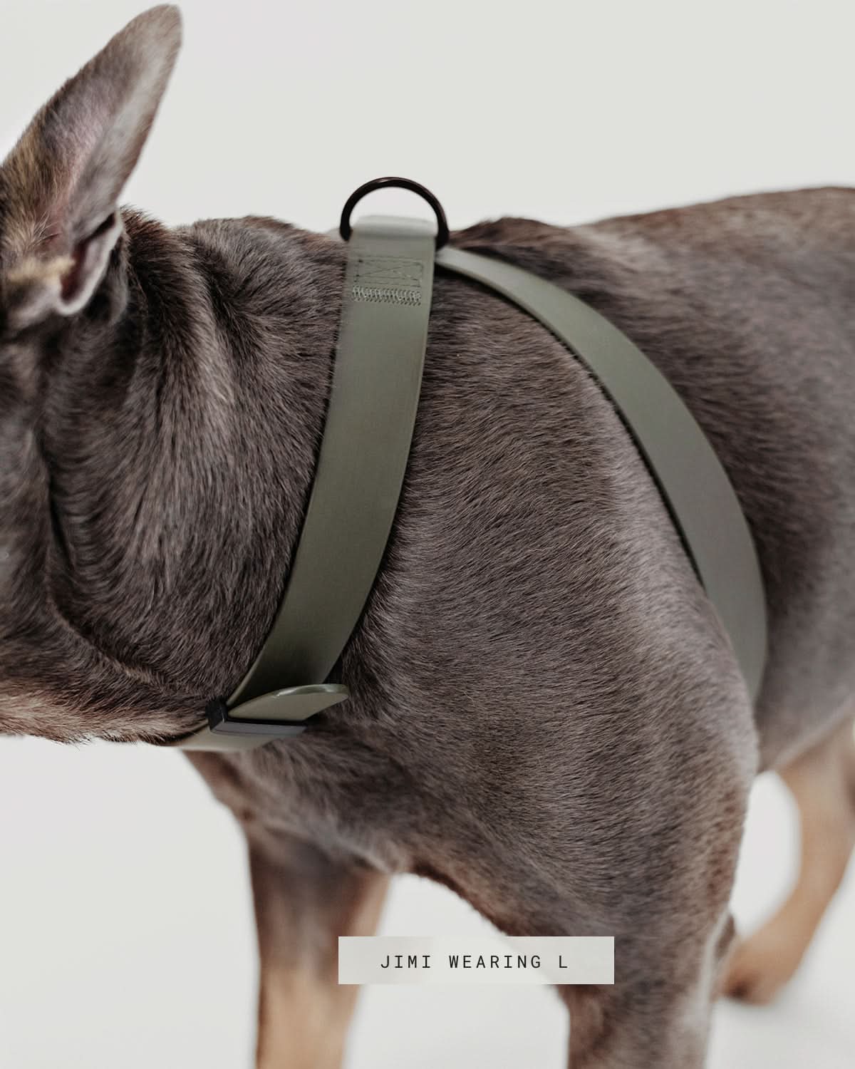 OTTO DOG HARNESS | רתמה לכלב