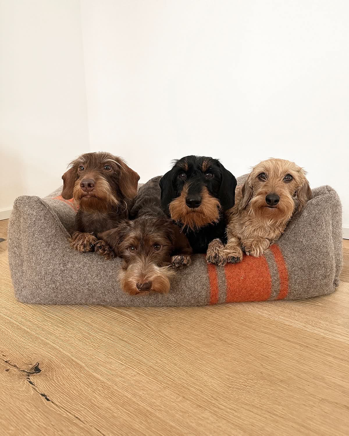 HENRI RECYCLED WOOL DOG BED | מיטה לכלב