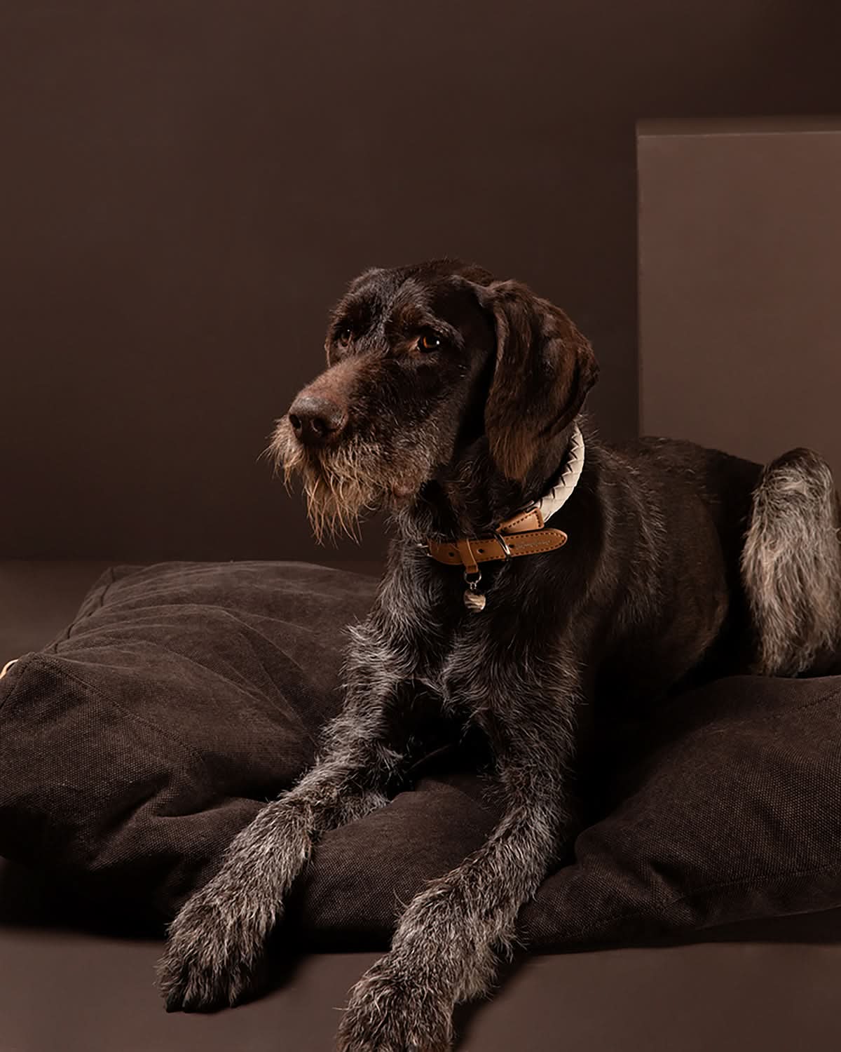 YOUSUF ORGANIC COTTON DOG BED | מיטה לכלב