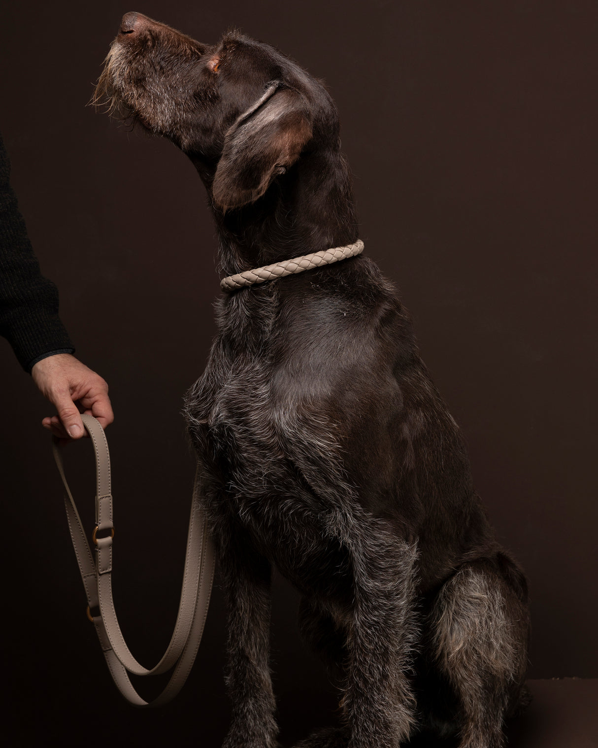 קולר קלוע לכלב מעור נאפה איטלקי | FERDINANDO NAPPA LEATHER COLLAR