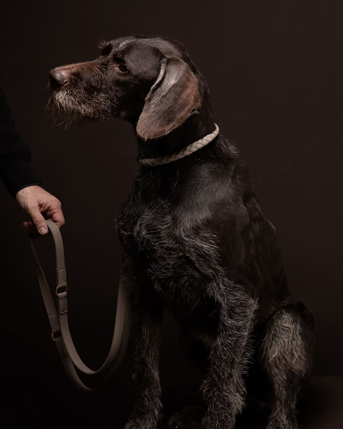 MARIO ADJUSTABLE LEATHER LEASH | רצועת עור מתכווננת לכלב